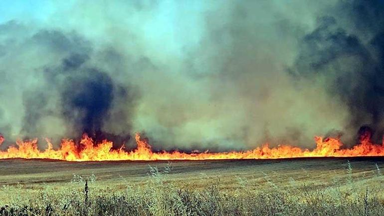 Son dakika... Edirne'de korkutan yangın! Kara yolu çift istikametli kapatıldı 2 son dakika edirnede korkutan yangin kara yolu cift istikametli kapatildi 0 pFIAwNRQ