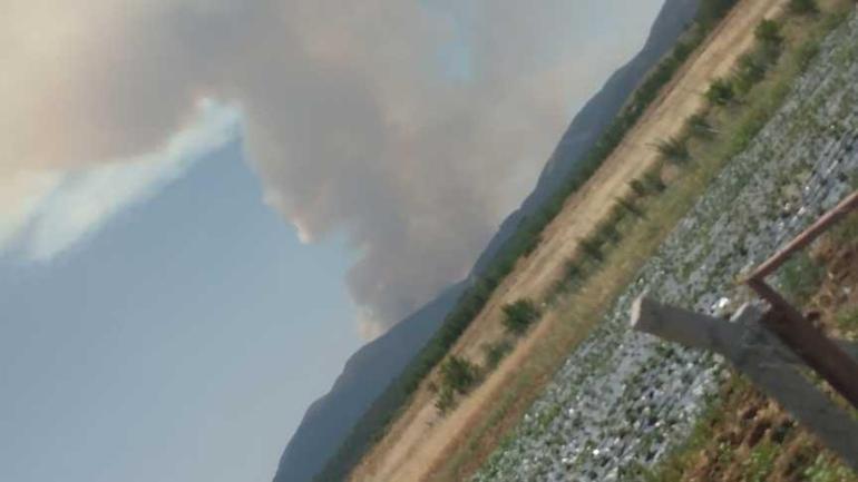 Son dakika... Edirne'de korkutan yangın! Kara yolu çift istikametli kapatıldı 3 son dakika edirnede korkutan yangin kara yolu cift istikametli kapatildi 1 FJbTfQty