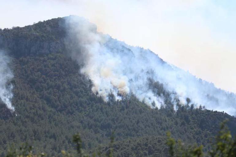 Son dakika... Sakarya'da başlayan yangın Bilecik'e ulaştı! Bir köy tahliye edildi 12 son dakika sakaryada baslayan yangin bilecike ulasti bir koy tahliye edildi 10 ZXIqMrgC