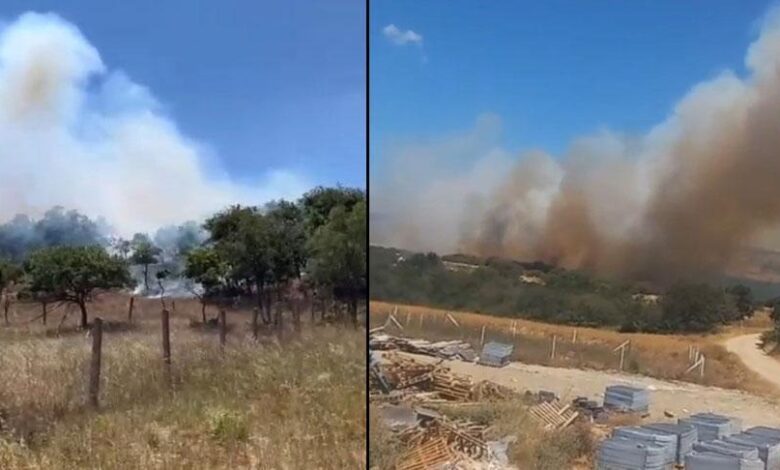 Son dakika... Silivri'de orman yangını! Müdahale başladı 1 son dakika silivride orman yangini mudahale basladi 3DcmcrkK
