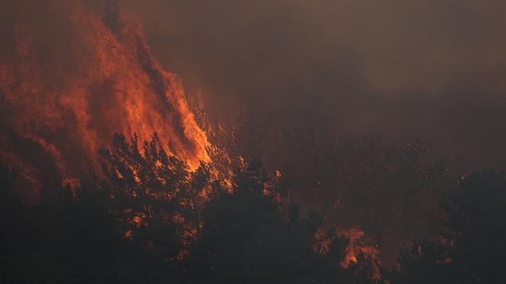 Son dakika! Urla'da orman yangını: Havadan ve karadan müdahale ediliyor 8 son dakika urlada orman yangini havadan ve karadan mudahale ediliyor 6