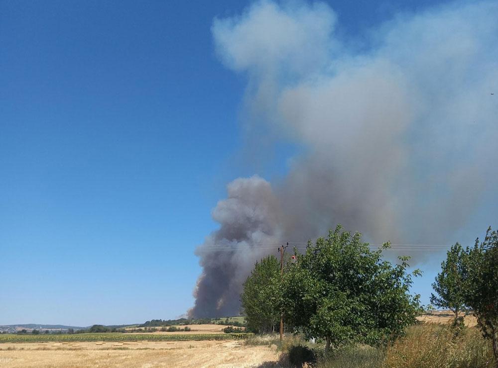 Son dakika! Urla'da orman yangını: Havadan ve karadan müdahale ediliyor 9 son dakika urlada orman yangini havadan ve karadan mudahale ediliyor 7 1MwF8emv