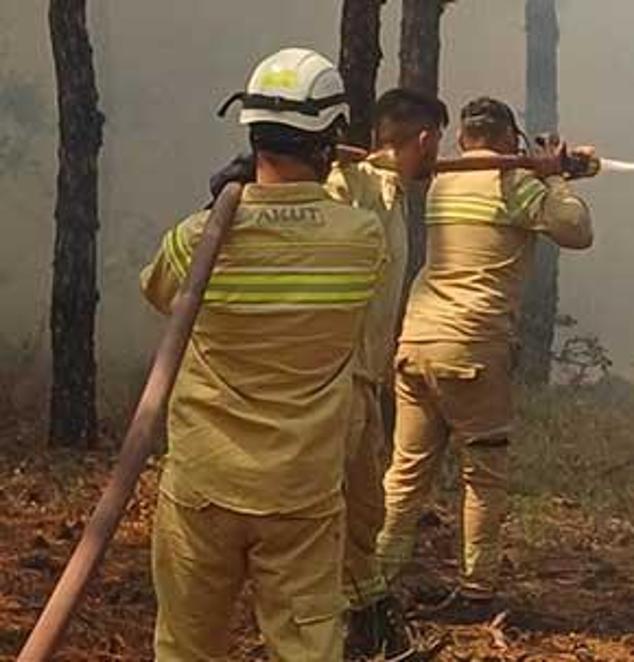 Son dakika... Yangında şehit olan AKUT grubunun son imgesi ortaya çıktı 2 son dakika yanginda sehit olan akut grubunun son imgesi ortaya cikti 0 3Xmf6iyD
