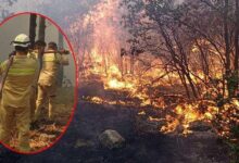 son dakika yanginda sehit olan akut grubunun son imgesi ortaya cikti yOACI2RW