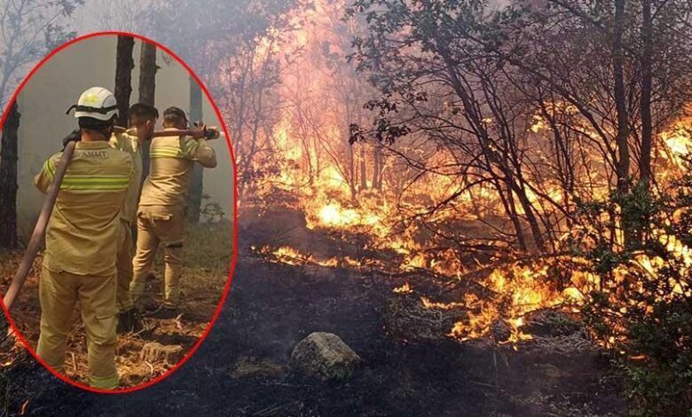 Son dakika... Yangında şehit olan AKUT grubunun son imgesi ortaya çıktı 1 son dakika yanginda sehit olan akut grubunun son imgesi ortaya cikti yOACI2RW