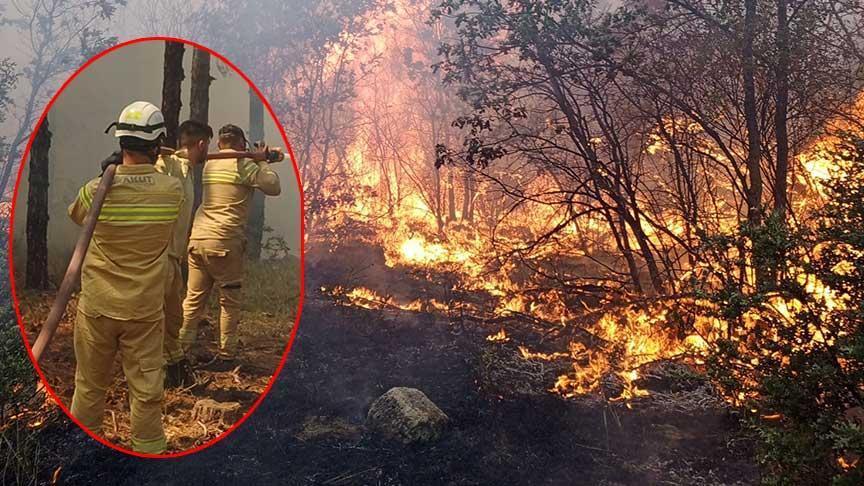 Son dakika… Yangında şehit olan AKUT grubunun son imgesi ortaya çıktı
