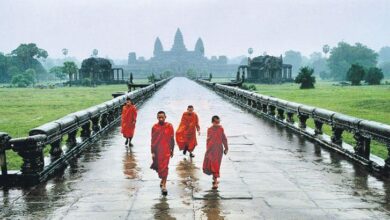 steve mccurrynin objektifinden 7kwdXTjA