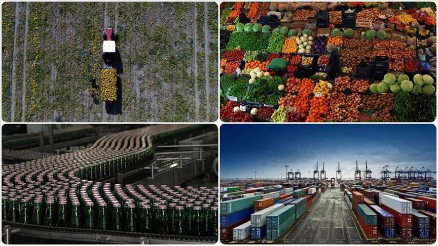 Tarım, besin ve içecek kesiminden 11,54 milyar dolarlık ihracat
