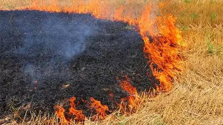 Tarlalarda ‘şerit’ tedbiri 1 tarlalarda serit tedbiri 9AP2BwZk