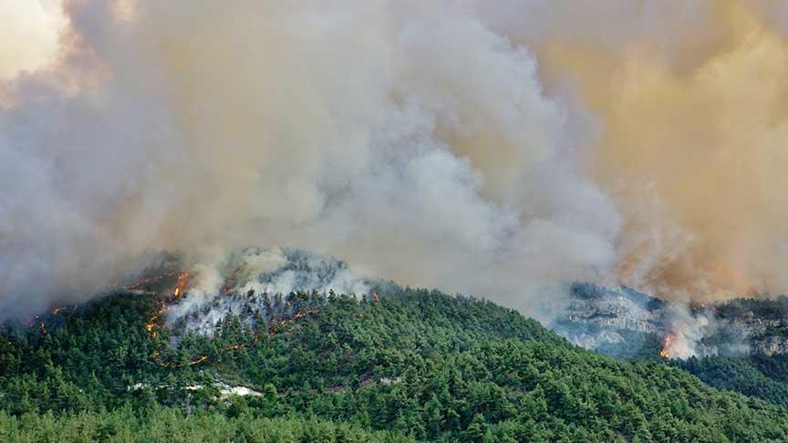 Yangınların yüzde 90’ı insan kaynaklı! İstanbul Orman Müdürü’nden kritik ihtar