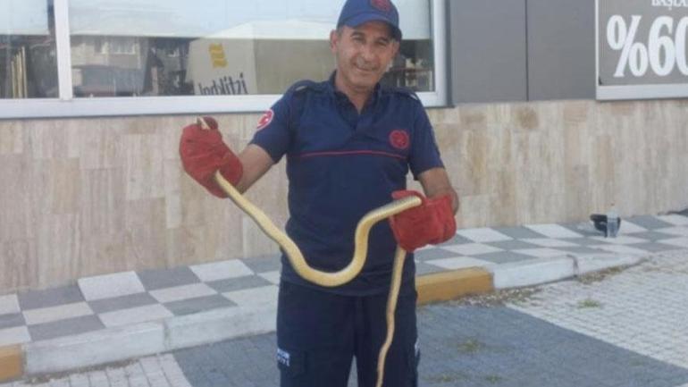 Yer: Burdur! Metrelerce uzunluktaki yılanı ayakkabıların ortasında fark ettiler 3 yer burdur metrelerce uzunluktaki yilani ayakkabilarin ortasinda fark ettiler 1 chytgvwc