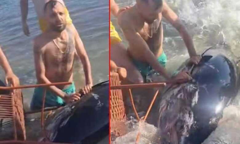 Yer: Çeşme! Kıyıya vurdu, sandalye ile karaya çıkarmaya çalıştılar 1 yer cesme kiyiya vurdu sandalye ile karaya cikarmaya calistilar yFPEi4hG