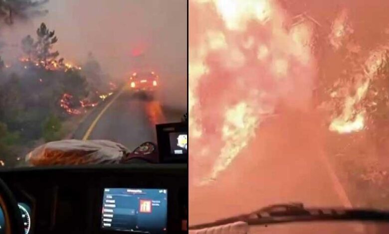 Yer: Sakarya! Alev çemberinin içinden geçtiler 1 yer sakarya alev cemberinin icinden gectiler qLFNEumJ
