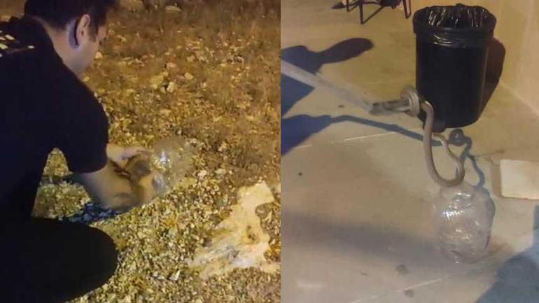 Yer: Tunceli! Tuvalete giren dev yılan korkuttu 2 yer tunceli tuvalete giren dev yilan korkuttu 0 1UbW8Wr8