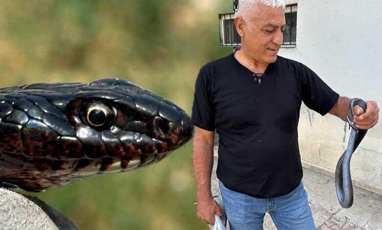 Yer: Tunceli! Tuvalete giren dev yılan korkuttu 1 yer tunceli tuvalete giren dev yilan korkuttu xJElkcOn