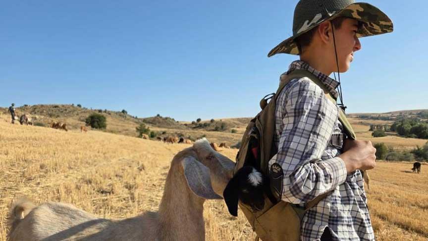14 yaşındaki çoban fark etti! ‘Sırt çantama koyup köye götürdüm’
