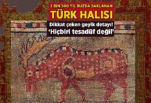 2 bin 500 yil buzda saklanan turk halisi dikkat ceken geyik ayrintisi hicbiri tesaduf vznwxsrA