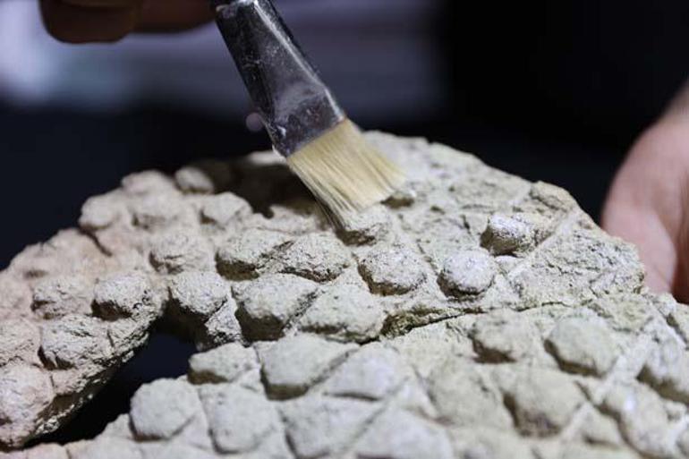 800 yil evvel yapilmis harranda kesfedildi saglam olarak ele gecirilmesinin buyuk deger tasiyor 0 yKHFSIq2