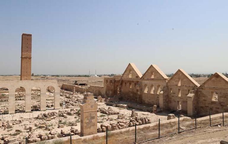 800 yil evvel yapilmis harranda kesfedildi saglam olarak ele gecirilmesinin buyuk deger tasiyor 3 yW9gNO7H
