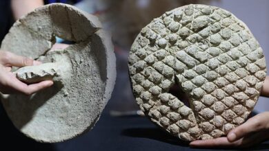 800 yil evvel yapilmis harranda kesfedildi saglam olarak ele gecirilmesinin buyuk deger tasiyor hNNiuk5v