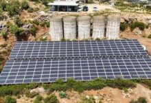antalyada tropikal meyve bahcelerine kurulan ges guc maliyetlerini dusurdu d552sEIE