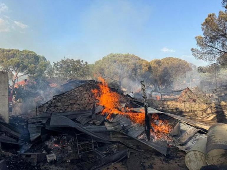 arka arda orman yanginlari basladi mersindeki yangin nedeniyle yerlesim yerleri tahliye edildi 0 YRR93FJn