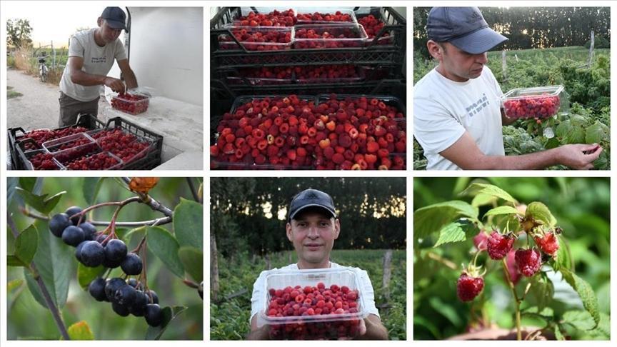 Atıl araziyi meyve bahçesine dönüştürerek üretici oldu