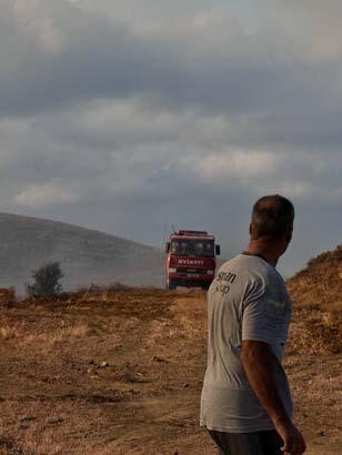 Balıkesir'deki Paşalimanı Adası'nda başlayan yangın rüzgarın tesiri ile yayıldı 7 balikesirdeki pasalimani adasinda baslayan yangin ruzgarin tesiri ile yayildi 5