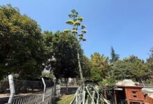beylikduzunde gorenler saskin bu sitede oturanlar cok sansli OEulbKf1