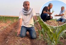 birebir tarla sira disi olay ektigi tohumlar filizlendi saskina dondu ruh sihhatim bozuldu deZe5OZp