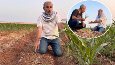 birebir tarla sira disi olay ektigi tohumlar filizlendi saskina dondu ruh sihhatim bozuldu deZe5OZp
