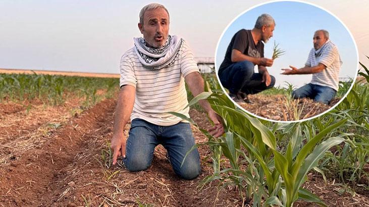 birebir tarla sira disi olay ektigi tohumlar filizlendi saskina dondu ruh sihhatim bozuldu deZe5OZp