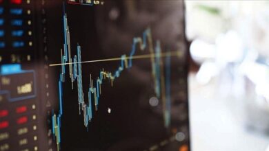 birinci yarida fonlar istikrarli buyudu 1BLIt1tw