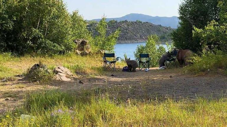 bitliste dehsete dusuren goruntu kucaginda bebekle ayi saldirisina ugradi 0 FcXlbMwY