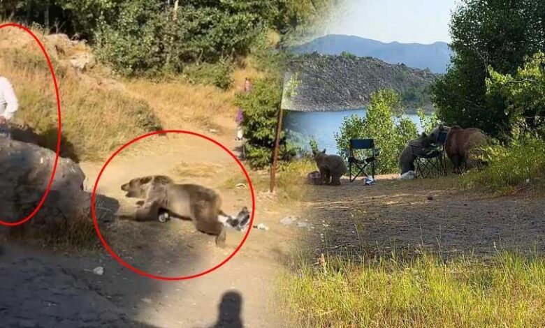 bitliste dehsete dusuren goruntu kucaginda bebekle ayi saldirisina ugradi hx4gw2AQ
