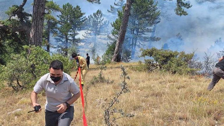 Bolu'da orman yangını! Havadan ve karadan müdahale ediliyor 2 boluda orman yangini havadan ve karadan mudahale ediliyor 0 B4hSms44