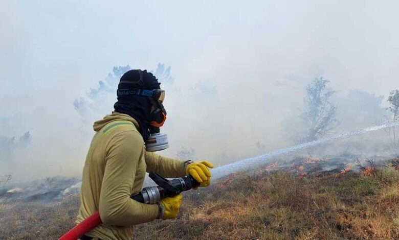 Bolu'da orman yangını! Havadan ve karadan müdahale ediliyor 1 boluda orman yangini havadan ve karadan mudahale ediliyor WkZfCN5i
