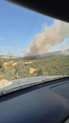 canakkale geliboluda orman yangini havadan karadan mudahale 3 2UtTsTRZ