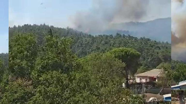 Çanakkale'de orman yangını! Havadan ve karadan müdahale başladı 2 canakkalede orman yangini havadan ve karadan mudahale basladi 0 OsGDJZmV