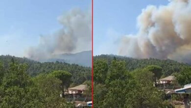 canakkalede orman yangini havadan ve karadan mudahale basladi yJL6Fr9Y
