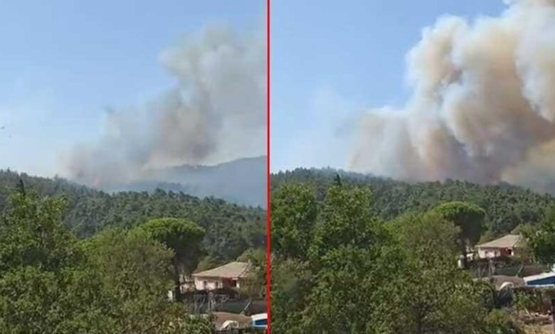 Çanakkale'de orman yangını! Havadan ve karadan müdahale başladı 1 canakkalede orman yangini havadan ve karadan mudahale basladi yJL6Fr9Y