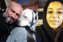 ceydanin katiline indirim sonrasi bakanlik harekete gecti HBYQWIVf