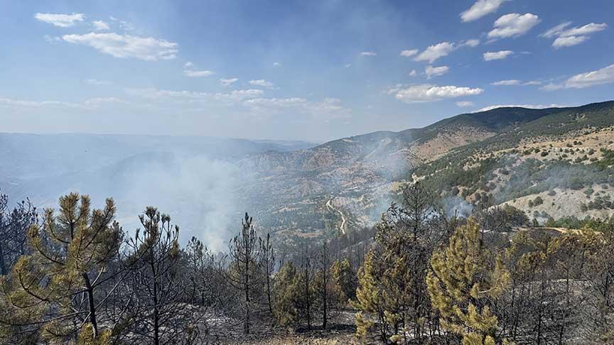 Çorum’da ormanlık alanda yangın! Takımlar sevk edildi