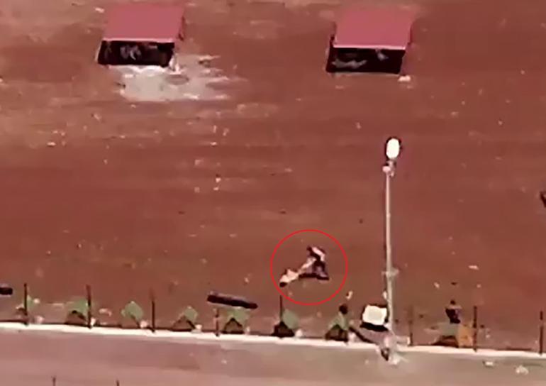 dehset drone kamerasiyla kaydedildi hayvan barinagindaki siddete sorusturma 0 z9Kw4Nv5