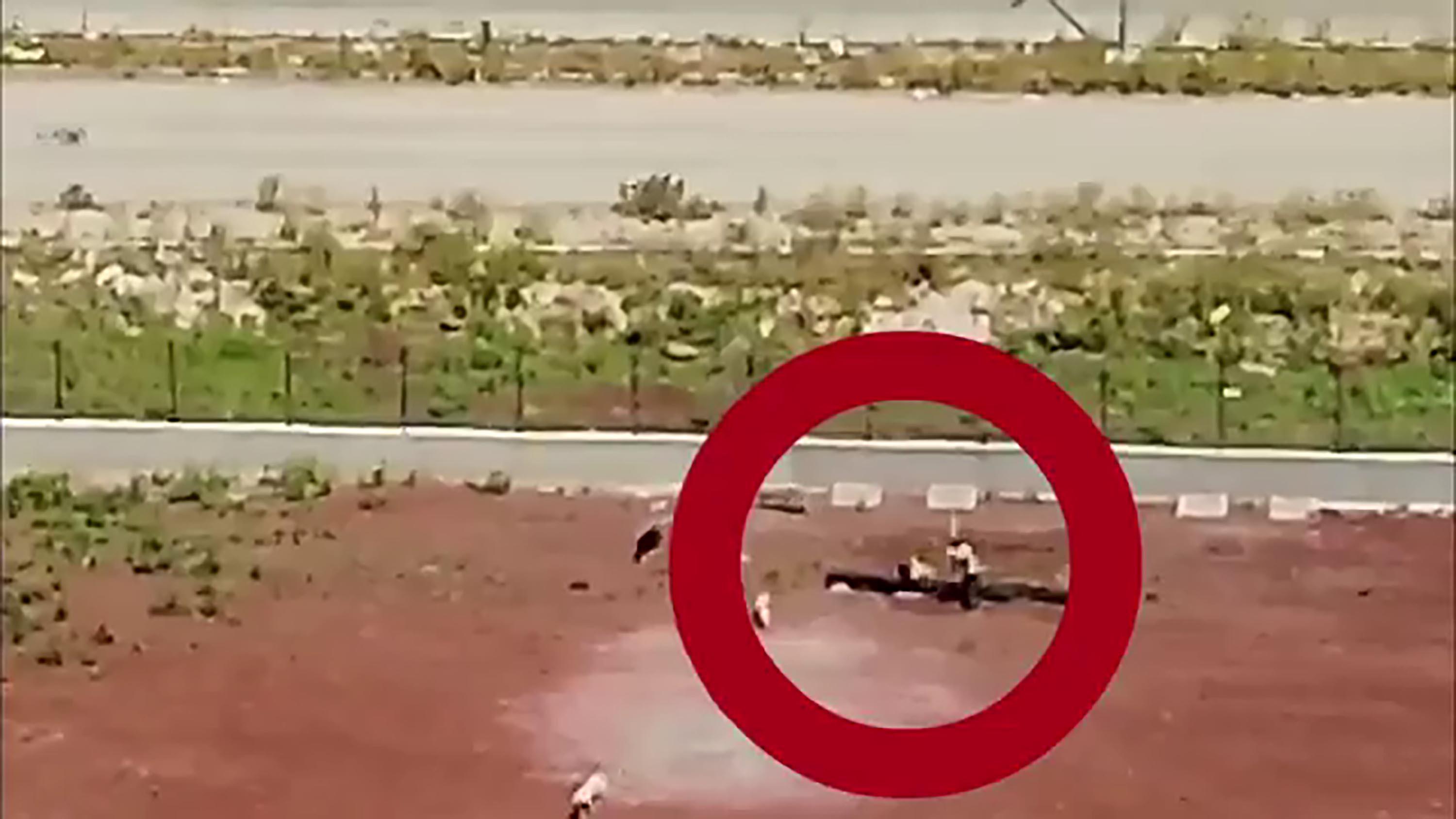 dehset drone kamerasiyla kaydedildi hayvan barinagindaki siddete sorusturma 1