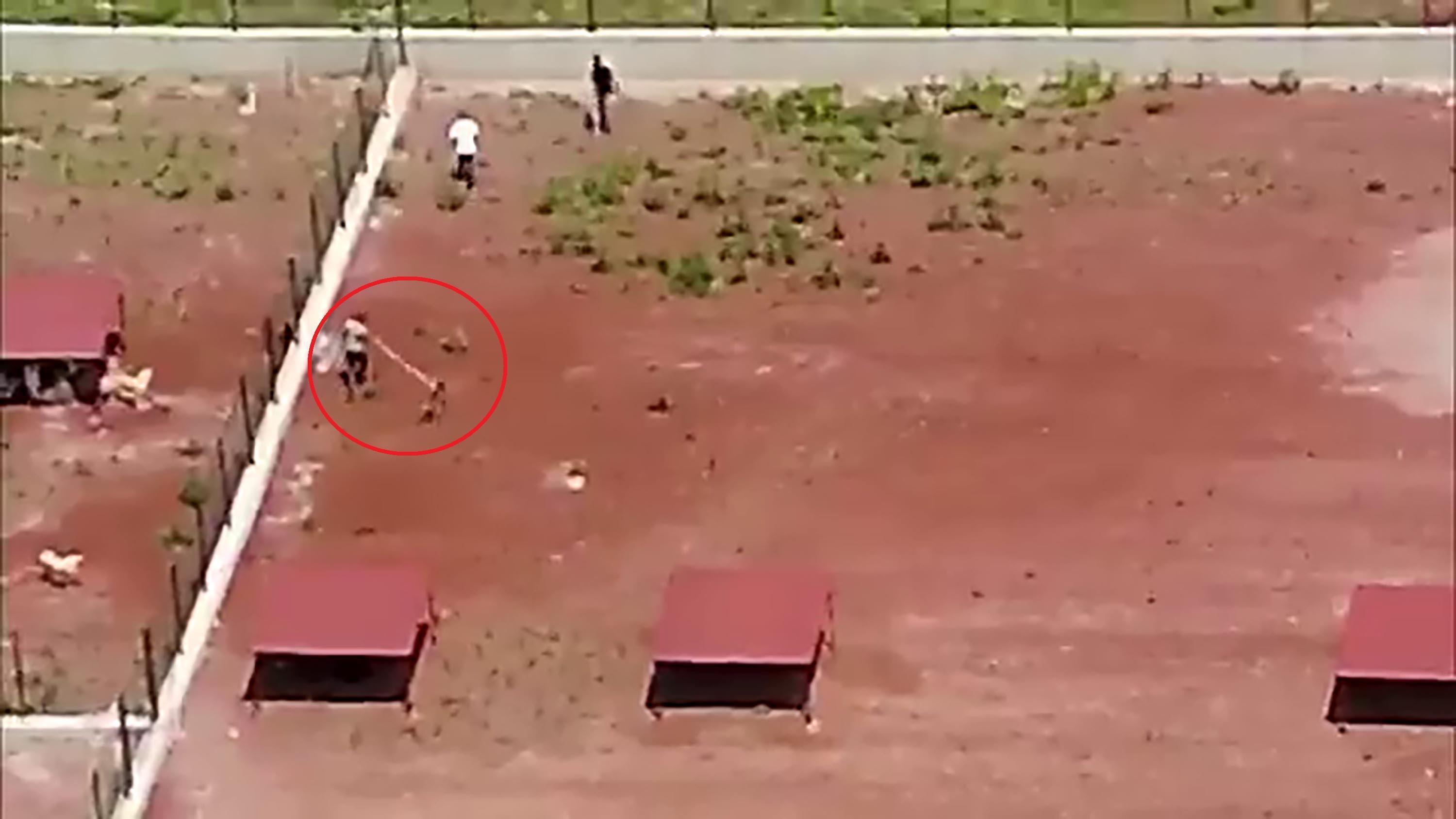 dehset drone kamerasiyla kaydedildi hayvan barinagindaki siddete sorusturma 6 ueIAMmeW