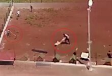 dehset drone kamerasiyla kaydedildi hayvan barinagindaki siddete sorusturma l3bcKTWC
