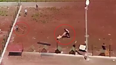 dehset drone kamerasiyla kaydedildi hayvan barinagindaki siddete sorusturma l3bcKTWC