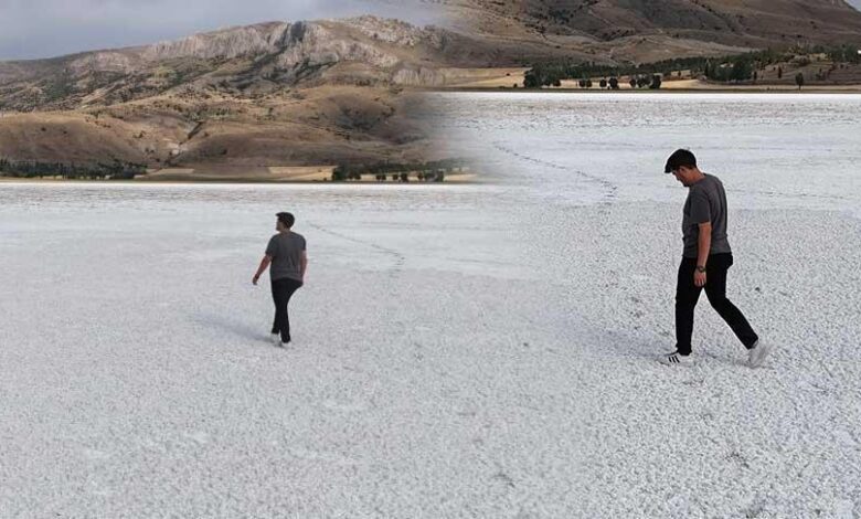 Dehşet verici manzara! Büsbütün yok oldu, beyaz çöle dönüştü 1 dehset verici manzara busbutun yok oldu beyaz cole donustu t1KqRhlR