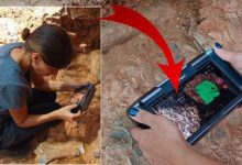 denizlide buyuk kesif turkiyede yalnizca bir yerde biliniyordu 1Hdced1l